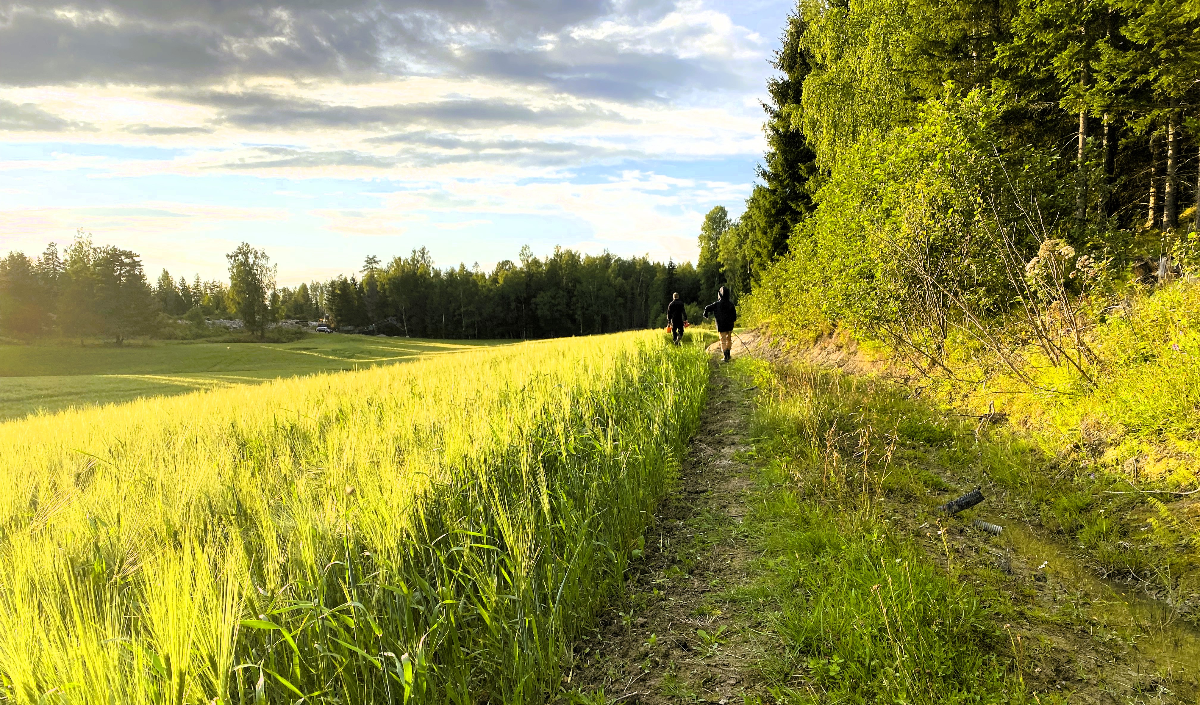 Bilde av to som går langs et jorde. 