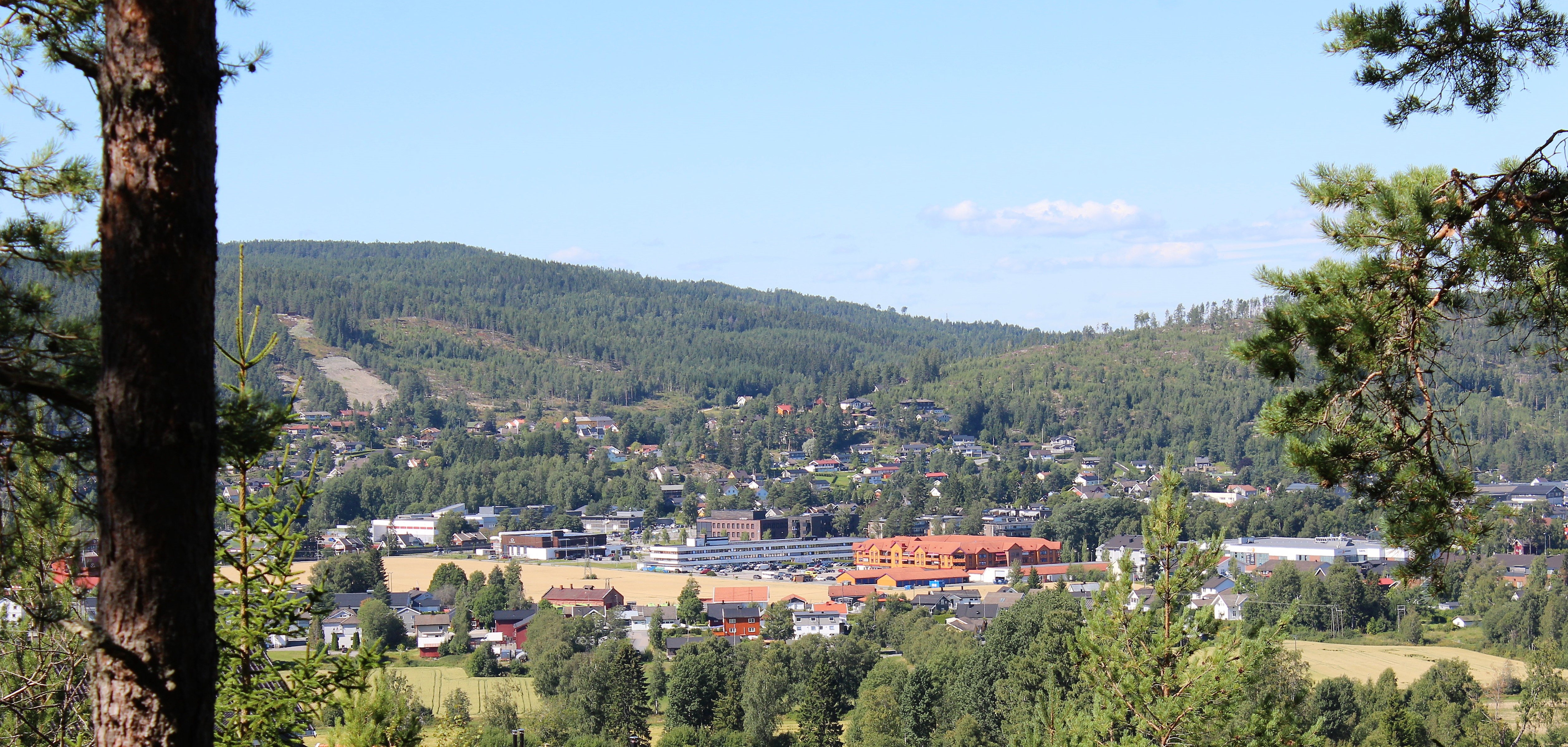 Bjørkelangen sett fra festningsåsen